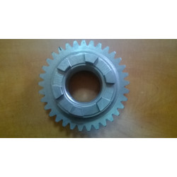 Koło zębate Zetor oryginał 10186033